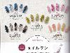 百日草のはなよめ 2020年11月号