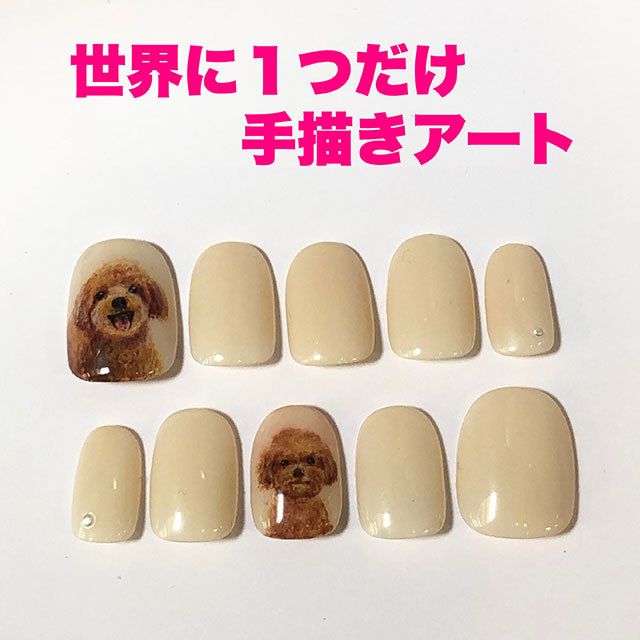 プチセット